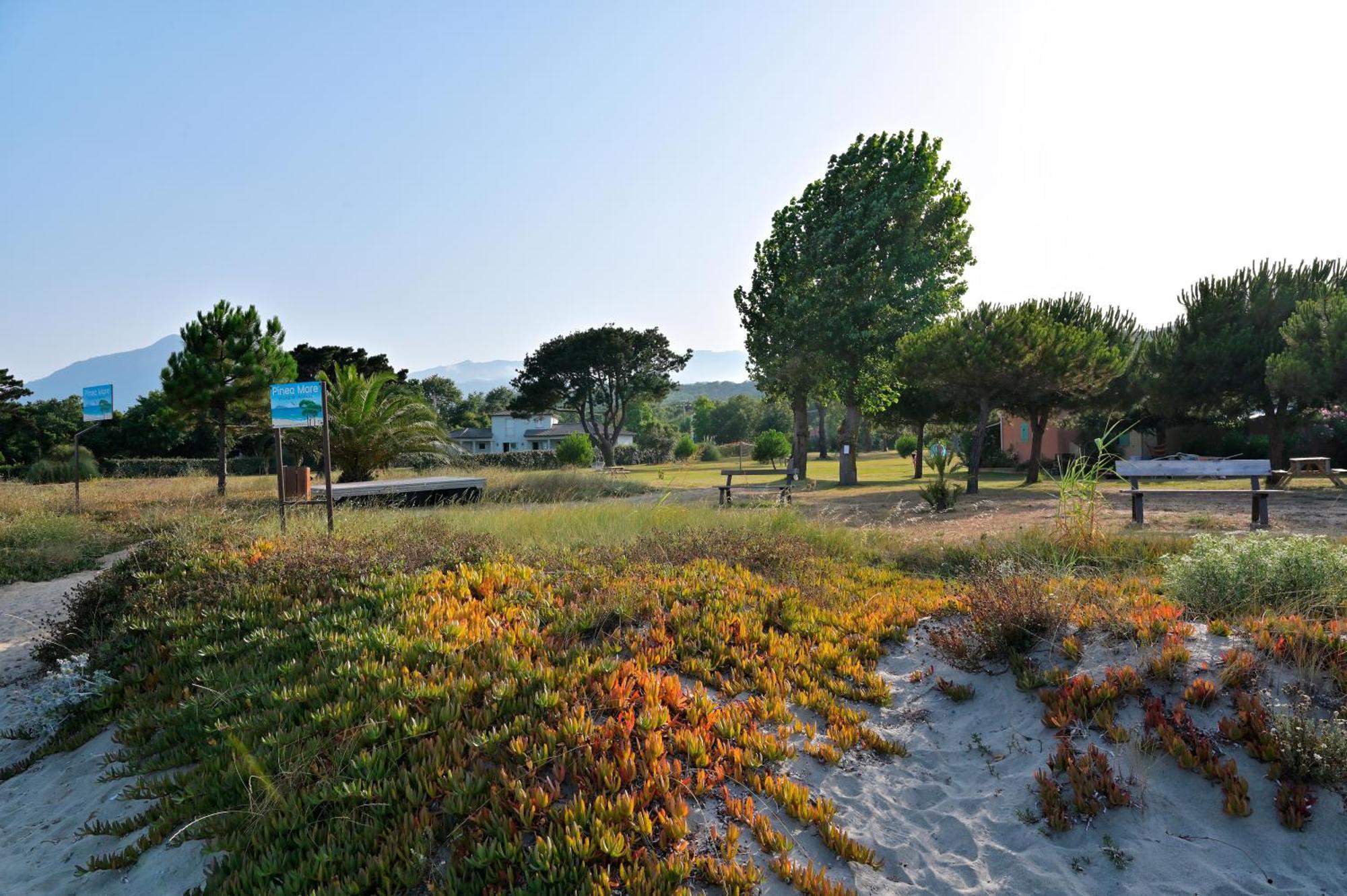 Pinea Mare Hotel Poggio Mezzana Exterior foto