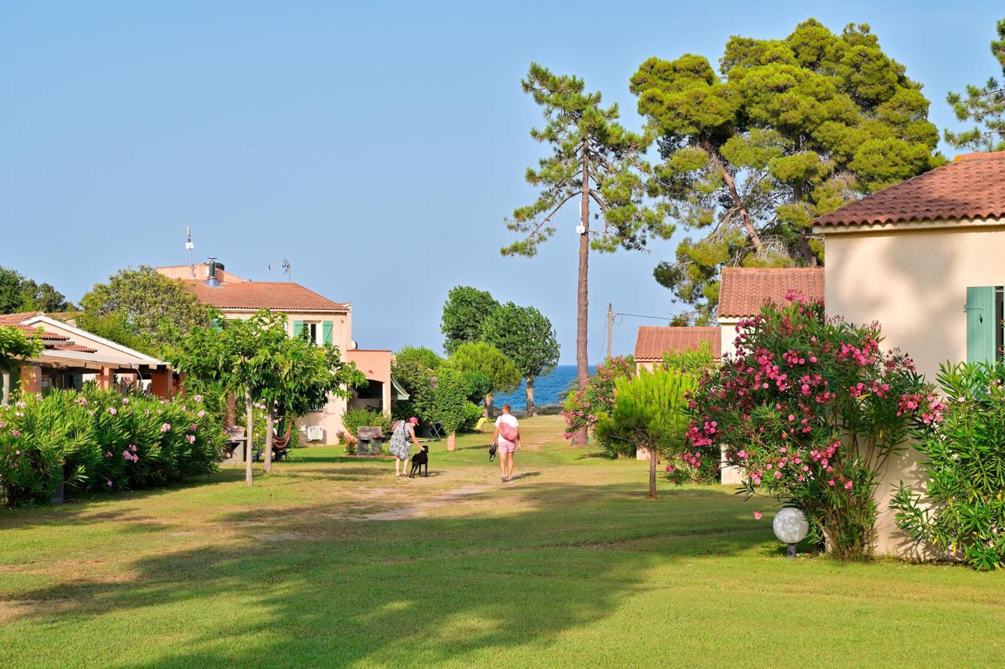 Pinea Mare Hotel Poggio Mezzana Exterior foto